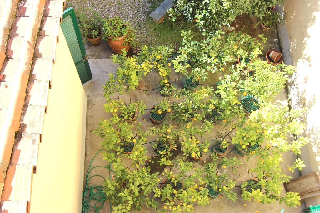 Casa Per Ferie Regina Santo Rosario Panzió Firenze Kültér fotó